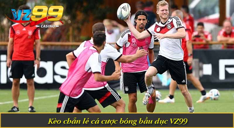 Cá Cược Bóng Bầu Dục VZ99 – Tận Hưởng Kèo Thể Thao Đỉnh Cao 2 Kèo chẵn lẻ cá cược bóng bầu dục VZ99